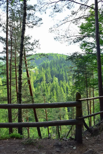 Ein Geländer Aus Baumstämmen Über Einer Mit Bäumen Bewachsenen Klippe — Stockfoto