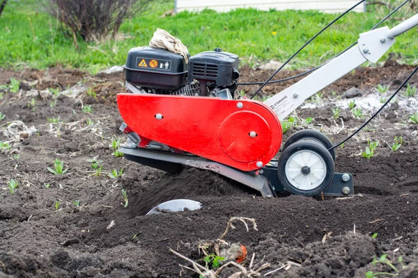 Man Farmer membajak tanah dengan kultivator. Pertanian mesin: budidaya untuk pengolahan di kebun, motor kultivator. — Stok Foto