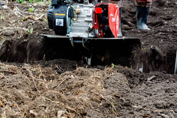 Människan Jordbrukaren plöjer marken med en kultiverare. Jordbruksmaskiner: kultivator för bearbetning i trädgården, motorkultivator. — Stockfoto