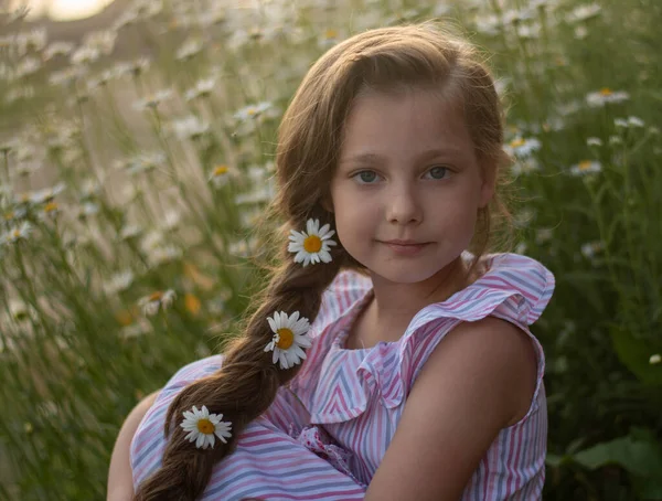 Porträtt av en lycklig liten flicka med en bukett fältprästkragar på en sommardag vid solnedgången. — Stockfoto