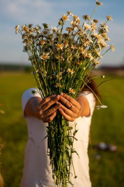 Seçici odaklanma. Doğada papatya buketi olan tişörtlü bir kızın portresi. Kız onu önünde tutuyor..