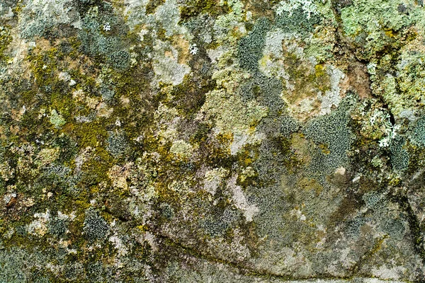 Natuur achtergrond. Mossen, schimmel op steen close-up. Relief en textuur van steen met patronen en mos. Steen natuurlijke achtergrond. Stenen rotsblokken bedekt met mos en schimmel. — Stockfoto