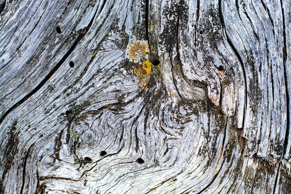 Дерев'яний фон, старе дерево. Органічна текстура тла . — стокове фото