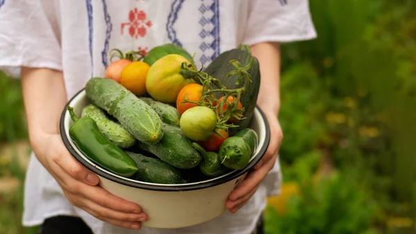 La ragazza tiene in mano una ciotola di ferro con verdure fatte in casa. Raccolta. Focus selettivo. — Foto Stock