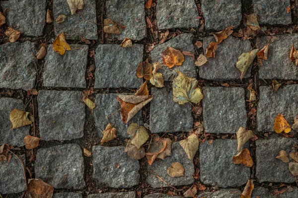 Abstract textured autumn background. Top view of the path of granite paving stones in the park covered with orange fallen leaves. Copy space for your text. Autumn theme.