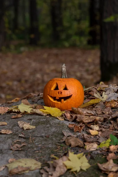 Close-up view of Jack O\' Lantern face in the forest. Smiling face carved on orange pumpkin. Side view. Selective focus. Halloween theme.