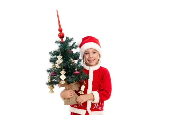 サンタクロースのようなかわいい男の子は 白い背景に立って 彼の手に小さなクリスマスツリーを保持しています — ストック写真