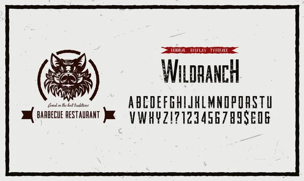 Handmade Font Barbecue Custom Handwritten Alphabet Wild Boar Concept Diner — Vector de stock