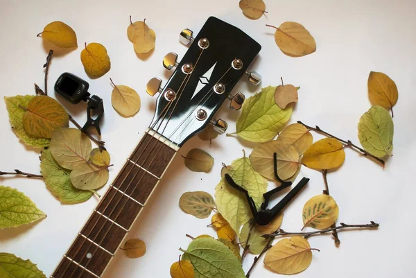 Guitare Capo Accordeur Feuilles Automne Sur Fond Blanc — Photo