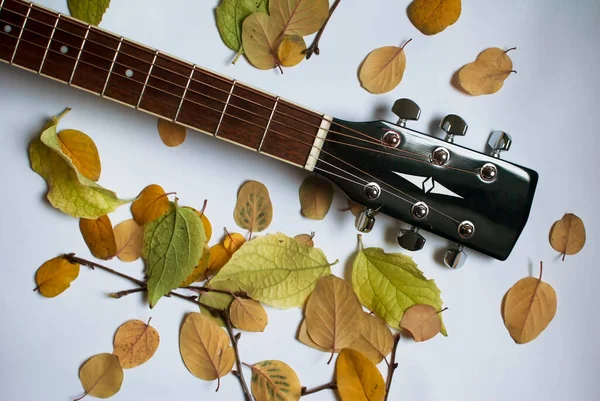 Guitarra Hojas Otoño Sobre Fondo Blanco — Foto de Stock