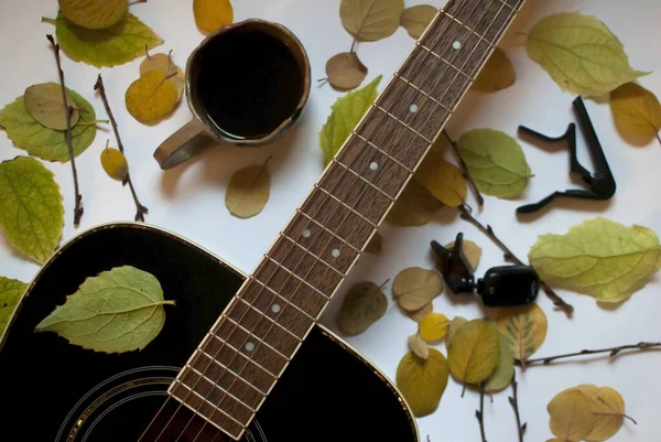 Guitare Capo Accordeur Feuilles Automne Sur Fond Blanc — Photo