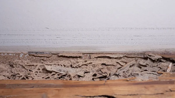 Die Hölzerne Treppe Wurde Von Termiten Zerfressen Beschädigte Holztreppe Nach — Stockfoto