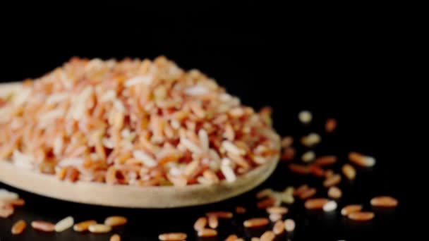 Variedades Granos Arroz Arroz Jazmín Rojo Arroz Marrón Rojo Nueva — Vídeo de stock