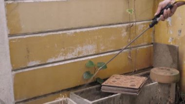 Böceklerden, termitlerden ya da sürüngenlerden kurtulmak için kimyasal sprey. Ev bakımı. Şirket termit kontrolünü kabul ediyor..