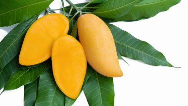Yeşil yapraklı mango dalında altın sarısı olgun bir mango dilimle. Beyaz arkaplanda izole.