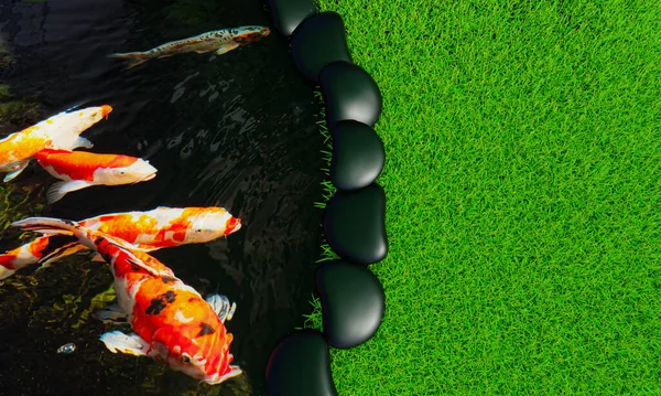 屋外の鯉池には魚が一緒に泳いでいます 明るい緑の芝生の地面が黒い岩の魚の池の側に並んでいる 芝生と屋外の魚池 3Dレンダリング — ストック写真