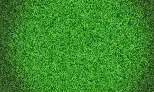 緑の草の背景ビネットや自然壁のテクスチャ トップ表示背景 壁紙のための新鮮な緑の芝生 様々なサイズの平野と草はきちんとしています 芝生の表面は均等に輝き 明るくなっています — ストック写真