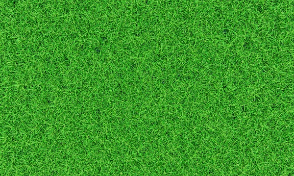 Top View Fresh Green Lawns Background Backdrop Wallpaper Plains Grasses — Stock Photo, Image