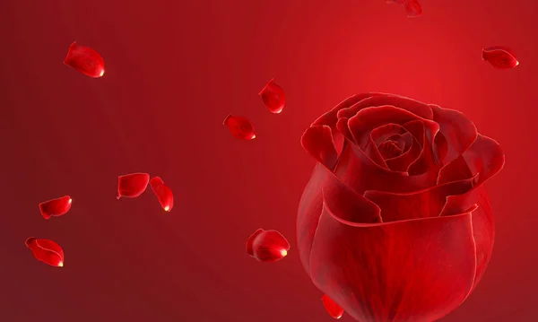 Красная Роза Стеблей Листьев Красном Фоне Падающие Лепестки Роз Рендеринг — стоковое фото