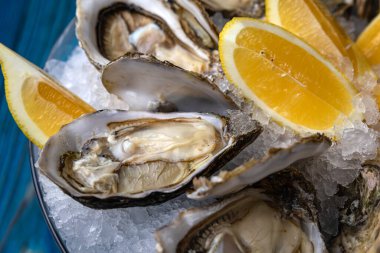 Beyaz tabakta roka, domates, marul ve mozzarella peynirli salata..