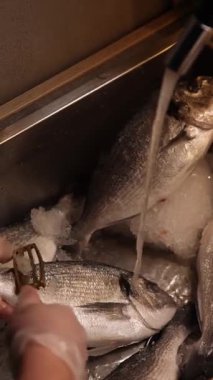 Şef restoranda Japon yemekleri hazırlar. Japon mutfağı.