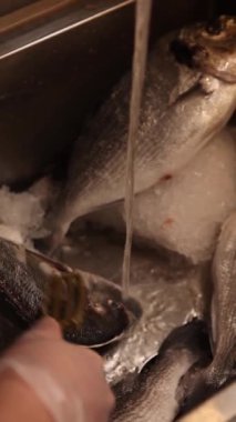 Şef restoranda Japon yemekleri hazırlar. Japon mutfağı.