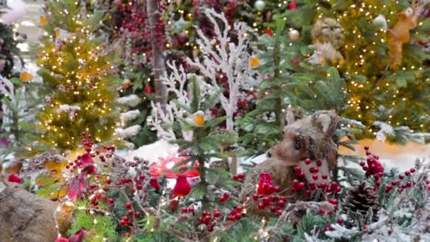 Juguete zorro se sienta en un bosque de hadas. El concepto de Año Nuevo y Navidad. — Vídeo de stock