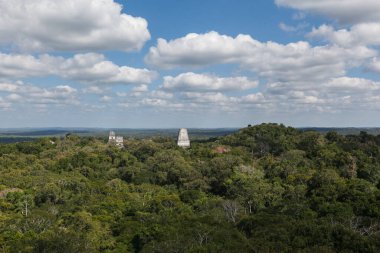 Maya tapınağı piramitleri Tikal, Guatemala yağmur ormanları üzerinde 