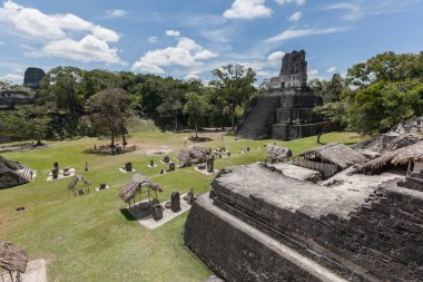 Mayan temple pyramids archeological excavation. Tikal, Guatemala  clipart