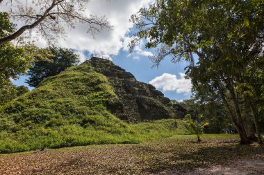 Maya tapınağı piramitleri arkeolojik kazı. Tikal, Guatemala 