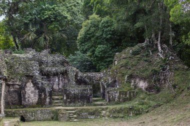 Maya tapınağı piramitleri arkeolojik kazı. Tikal, Guatemala 