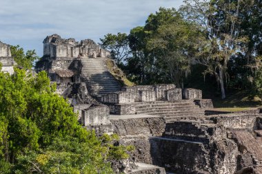 Maya tapınağı piramitleri arkeolojik kazı. Tikal, Guatemala 