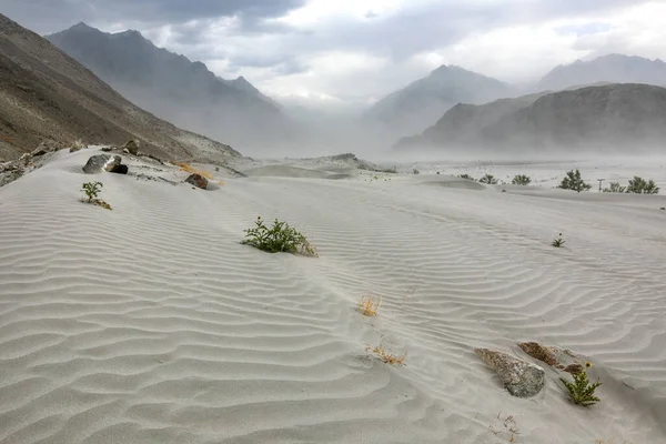 Tormenta en dunas de arena desértica — Foto de Stock