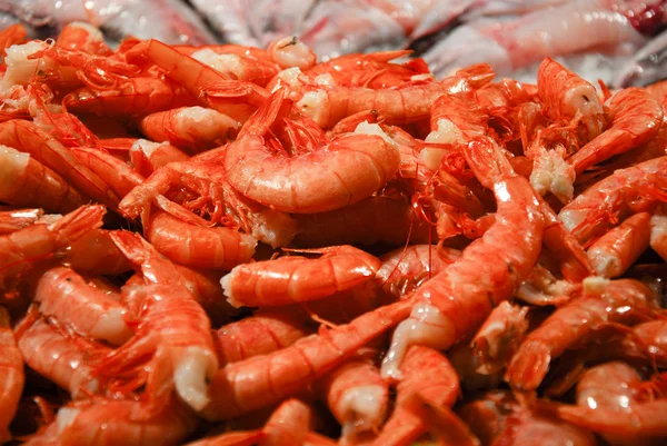 Fresh shrimp — Stock Photo, Image