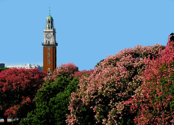 Torre monumentális — Stock Fotó