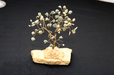 Taş duvardaki ağaç