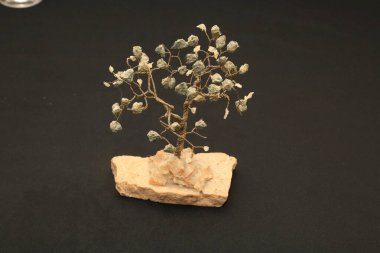 Taş duvardaki ağaç