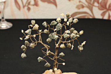 Taş duvardaki ağaç