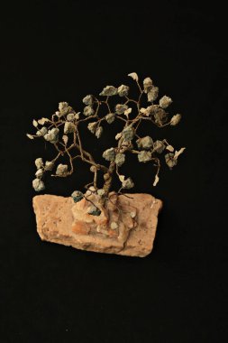 Taş duvardaki ağaç