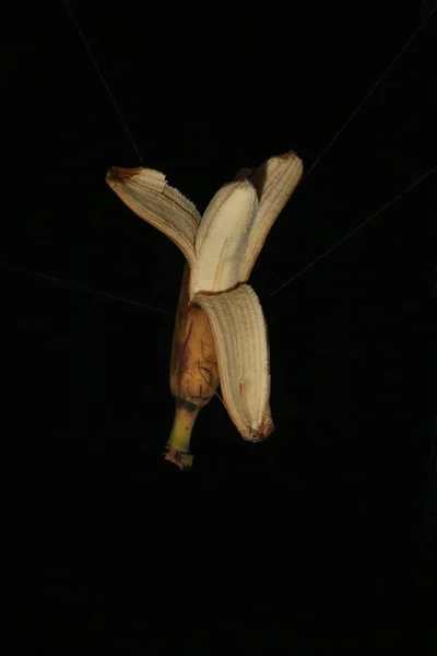Banany Czarnym Tle Owoców — Zdjęcie stockowe