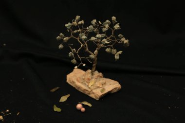  Siyah arkaplan kahverengi yaprak