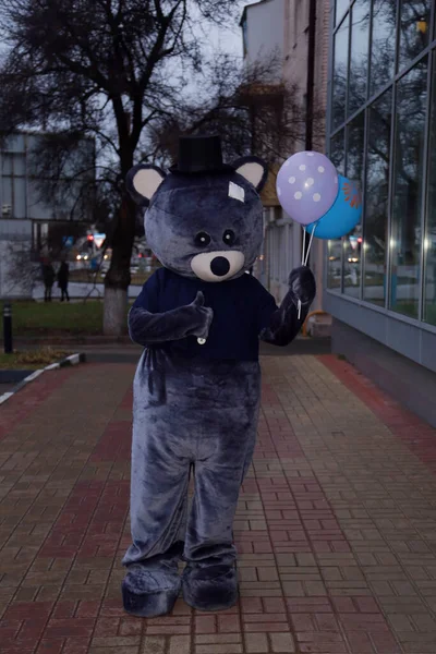 Traje Oso Peluche Grande Gris Para Animadores —  Fotos de Stock