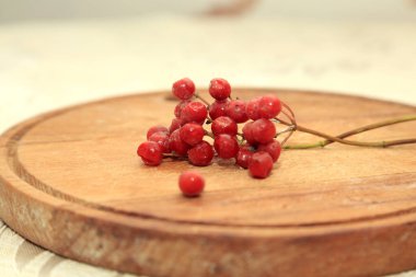 Tahta bir viburnum üzerinde kırmızı frenk üzümü