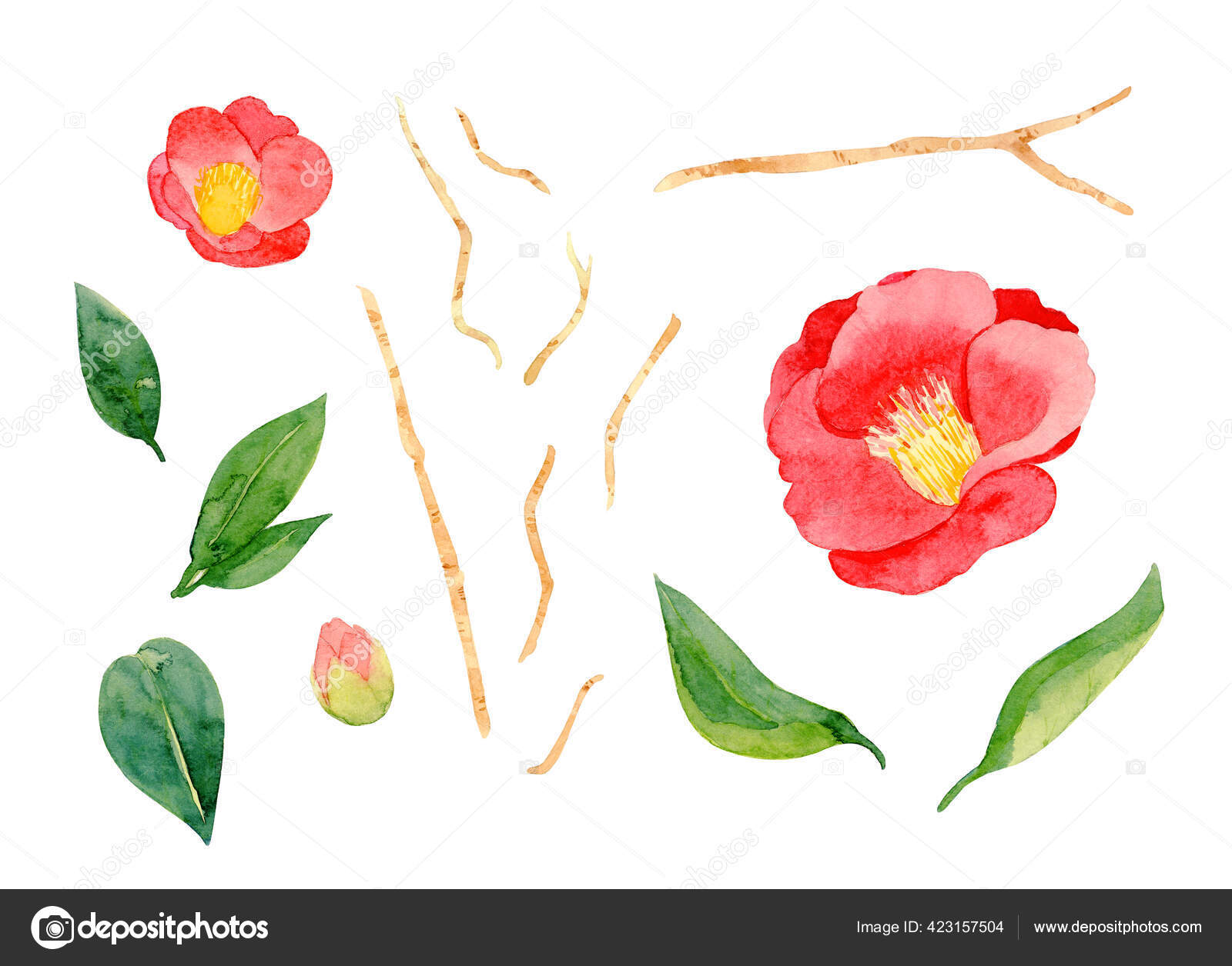 白地に赤い椿の花と葉が孤立しています 日本の椿 愛の象徴 水彩手描きイラスト ストック写真 C Fayfena Art 白地に赤い椿の花と葉が孤立しています 日本の椿 愛の象徴 水彩手描きイラスト ストック写真 C Fayfena Art