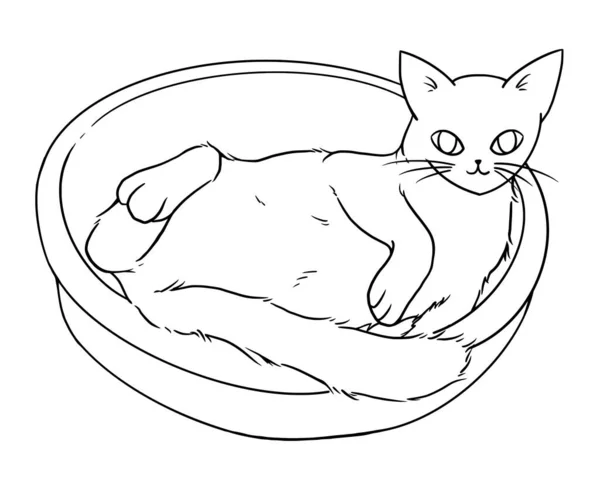 Eine Katze Kräuselte Sich Einem Korb Linienkunst Illustration Cartoonstil Handgezeichneter — Stockvektor