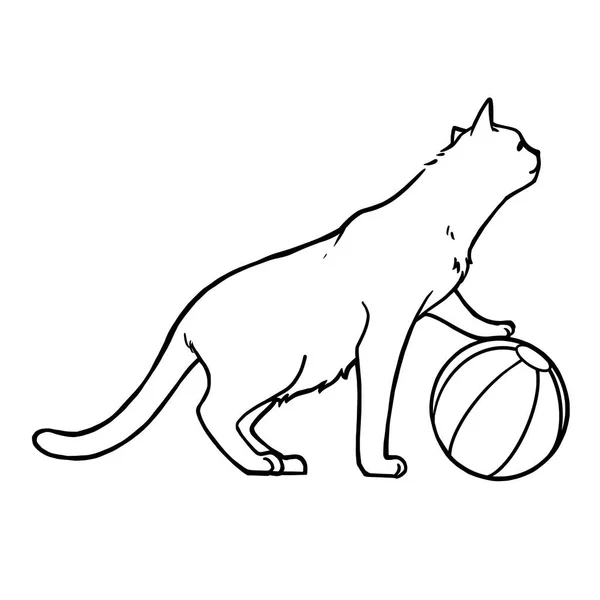 Eine Katze Spielt Einen Ball Zeilenkunst Cartoon Figur Schwarze Tinte — Stockvektor