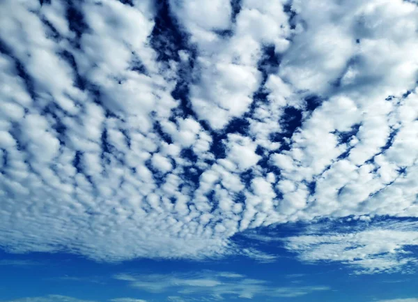 Altocumulus Cirrocumulus Petits Nuages Propagent Travers Ciel Bleu Fond Skyscape — Photo