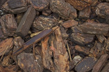 Ahşap parçaları doku