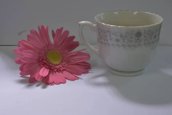 Author Took Photo Shoot Kitchen Set Photos Were Taken Morning — Stock Photo, Image