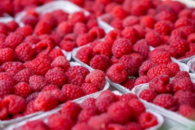 ripe raspberries lie in paper trays